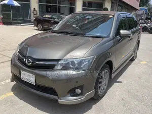 Toyota Axio 1.5 G 2WD 2012 Gray
