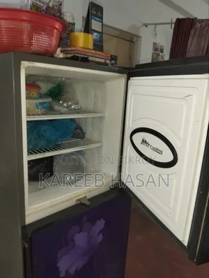 Walton Inverter Refrigerator (282L)