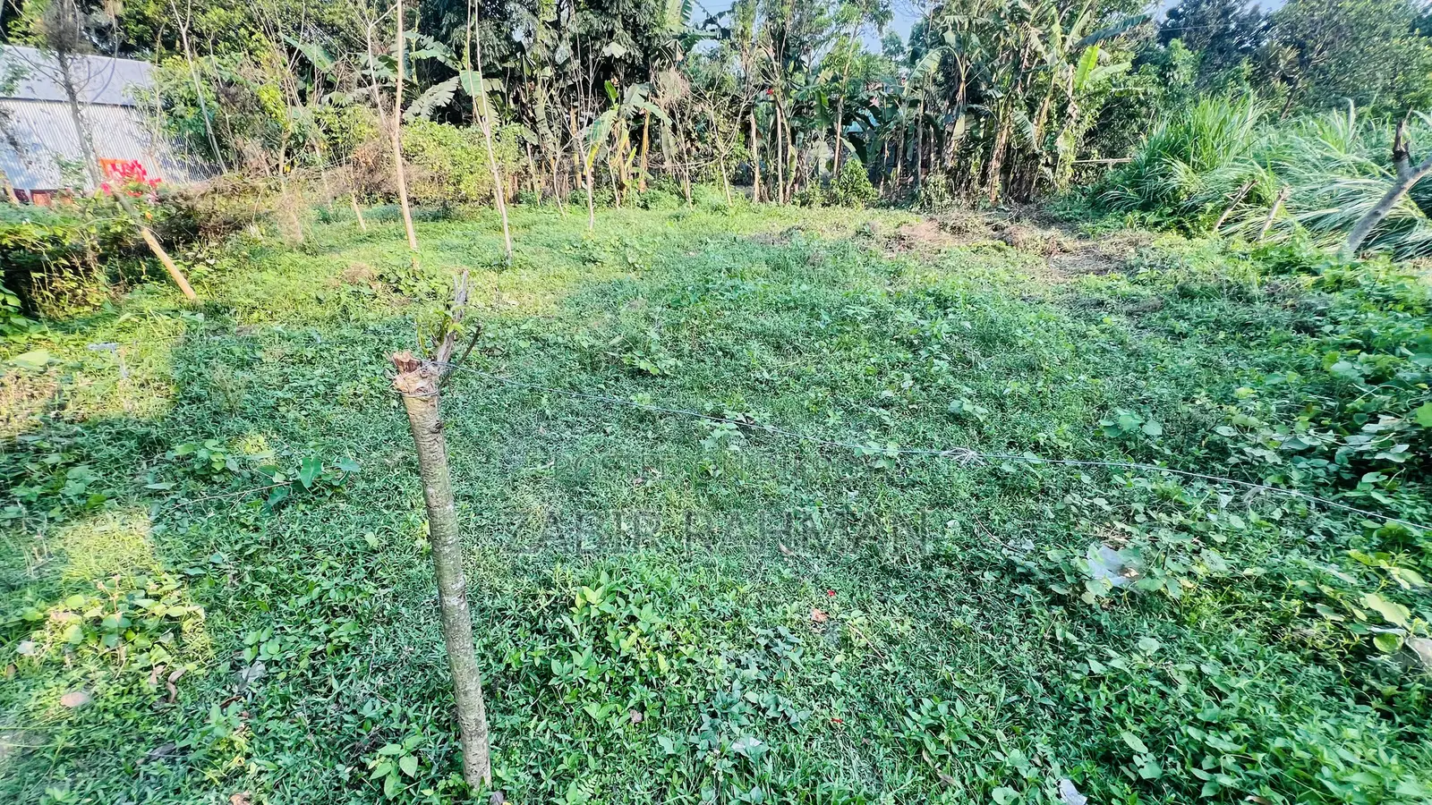 বাড়ি তৈরির জন্য সাশ্রয়ী জমি