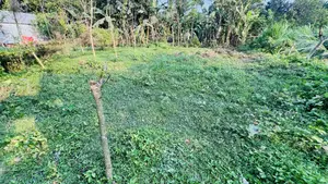 বাড়ি তৈরির জন্য সাশ্রয়ী জমি