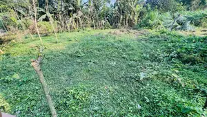 বাড়ি তৈরির জন্য সাশ্রয়ী জমি