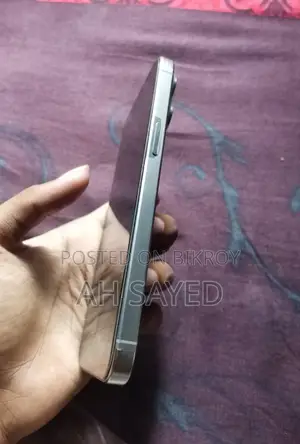 Apple iPhone 15 Pro Max 256 GB Silver