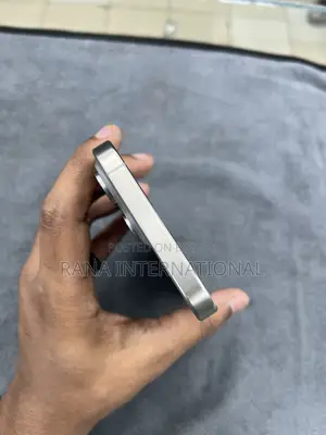 Apple iPhone 15 Pro Max 256 GB Gray