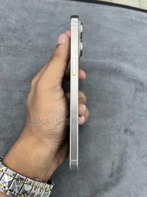 Apple iPhone 15 Pro Max 256 GB Gray