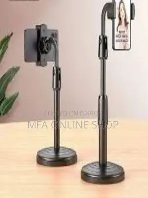 Adjustable Mobile Stand