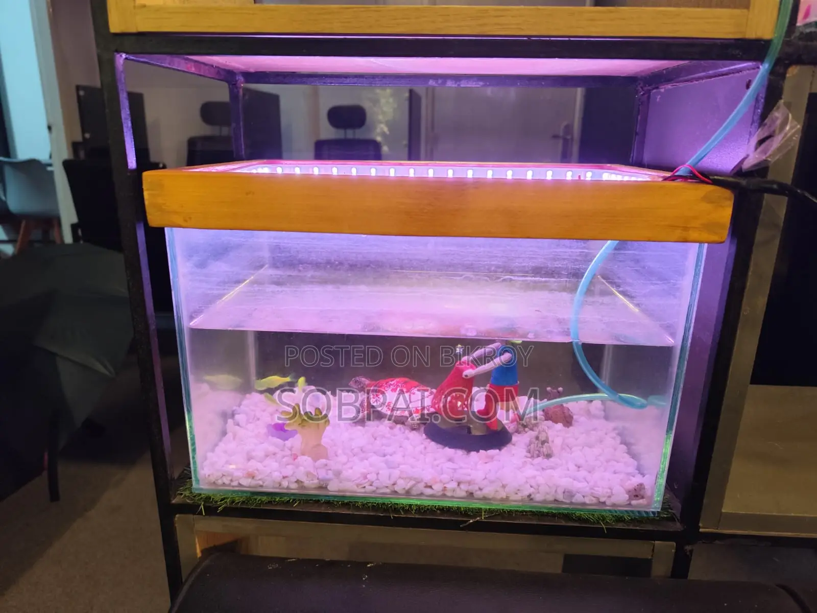 Beautiful Decorated Glass Aquarium With LED Light Accessories