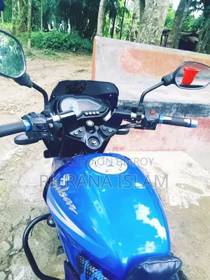 Bajaj Pulsar 150 2014 Blue