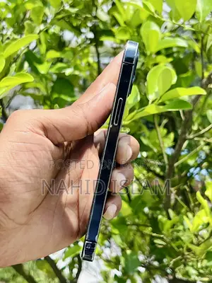 Apple iPhone 12 Pro 256 GB Blue