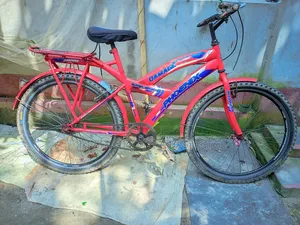 Bicycle for sale