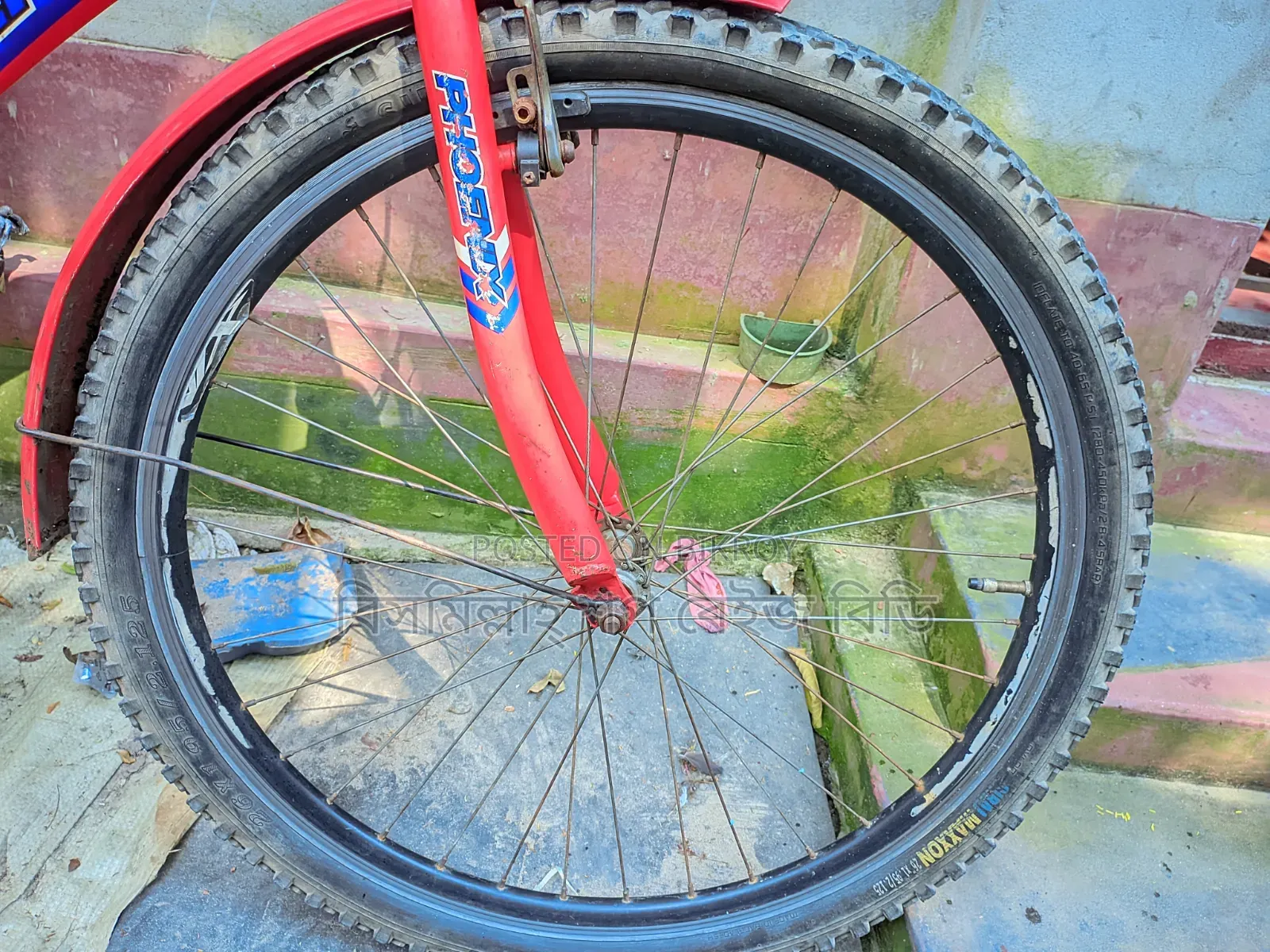 Bicycle for sale