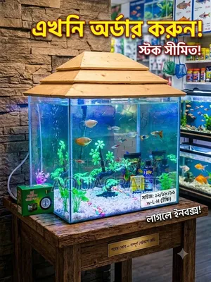 Complete Large Aquarium Package for Only Taka