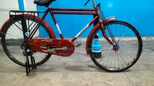 Standard Bicycle