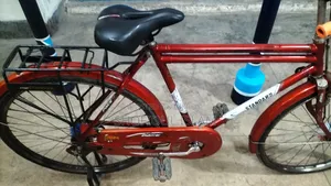 Standard Bicycle