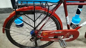 Standard Bicycle