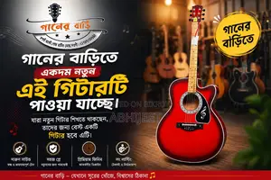 যারা শেখার জন্য কম দামে ভালো গিটার খুঁজছেন নিতে পারেন