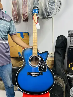 যারা শেখার জন্য কম দামে ভালো গিটার খুঁজছেন নিতে পারেন
