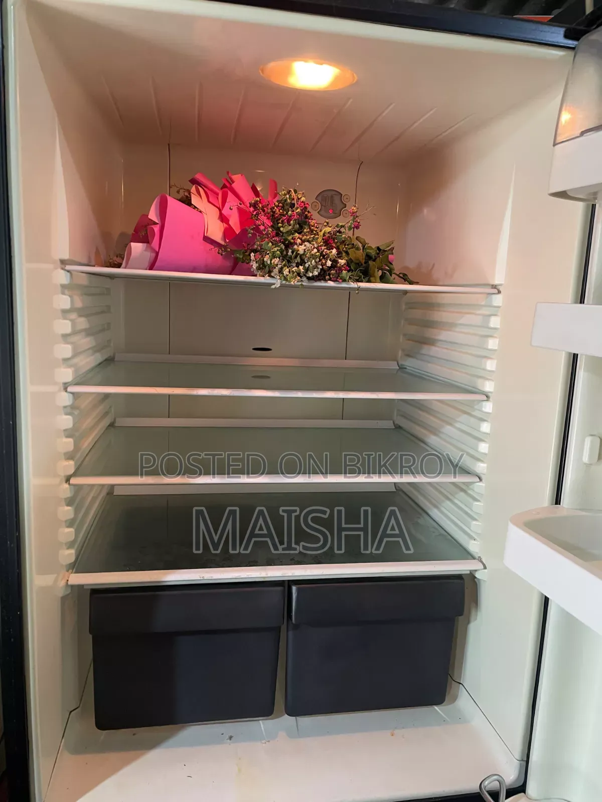 Fridge- Fresher&Paykel