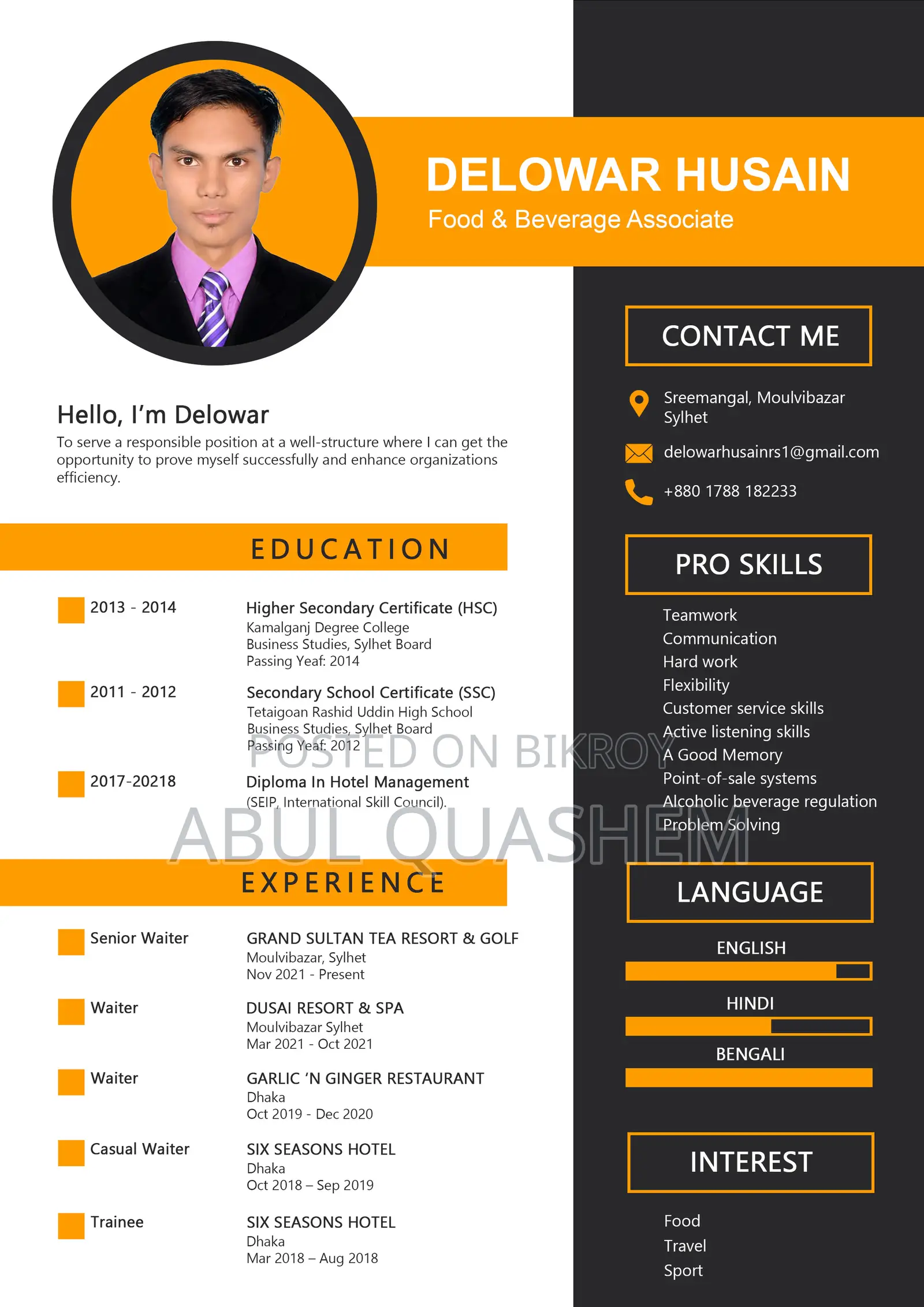 Europass, Professional and Customized CV