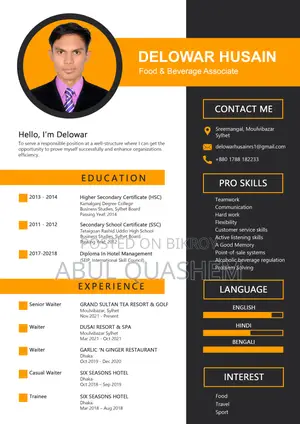 Europass, Professional and Customized CV