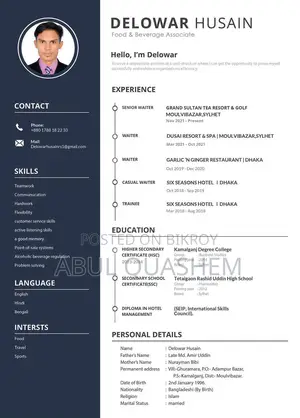Europass, Professional and Customized CV