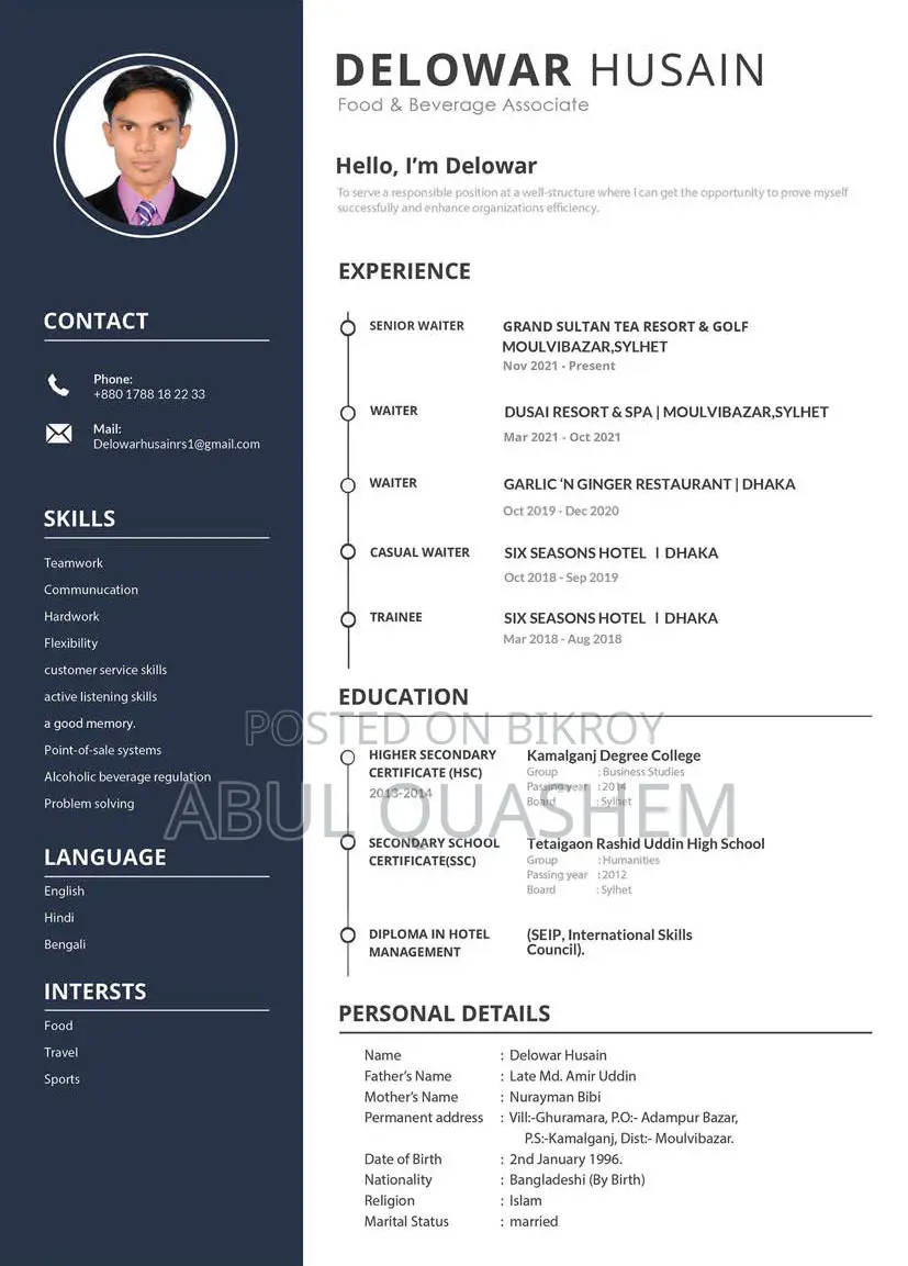 Europass, Professional and Customized CV