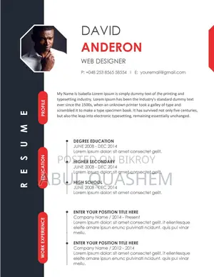 Europass, Professional and Customized CV