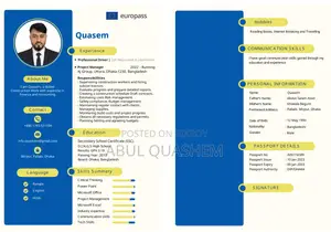 Europass, Professional and Customized CV