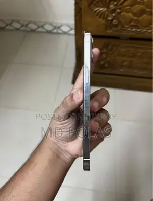 Apple iPhone 12 Pro Max 256 GB White