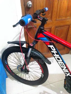Original Phoenix Bicycle