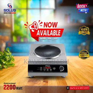 Electric Infrared Induction Cooker