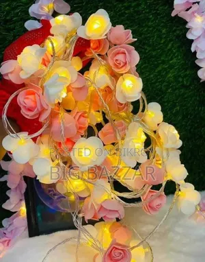 ডেকোরেশন এর লাইটিং