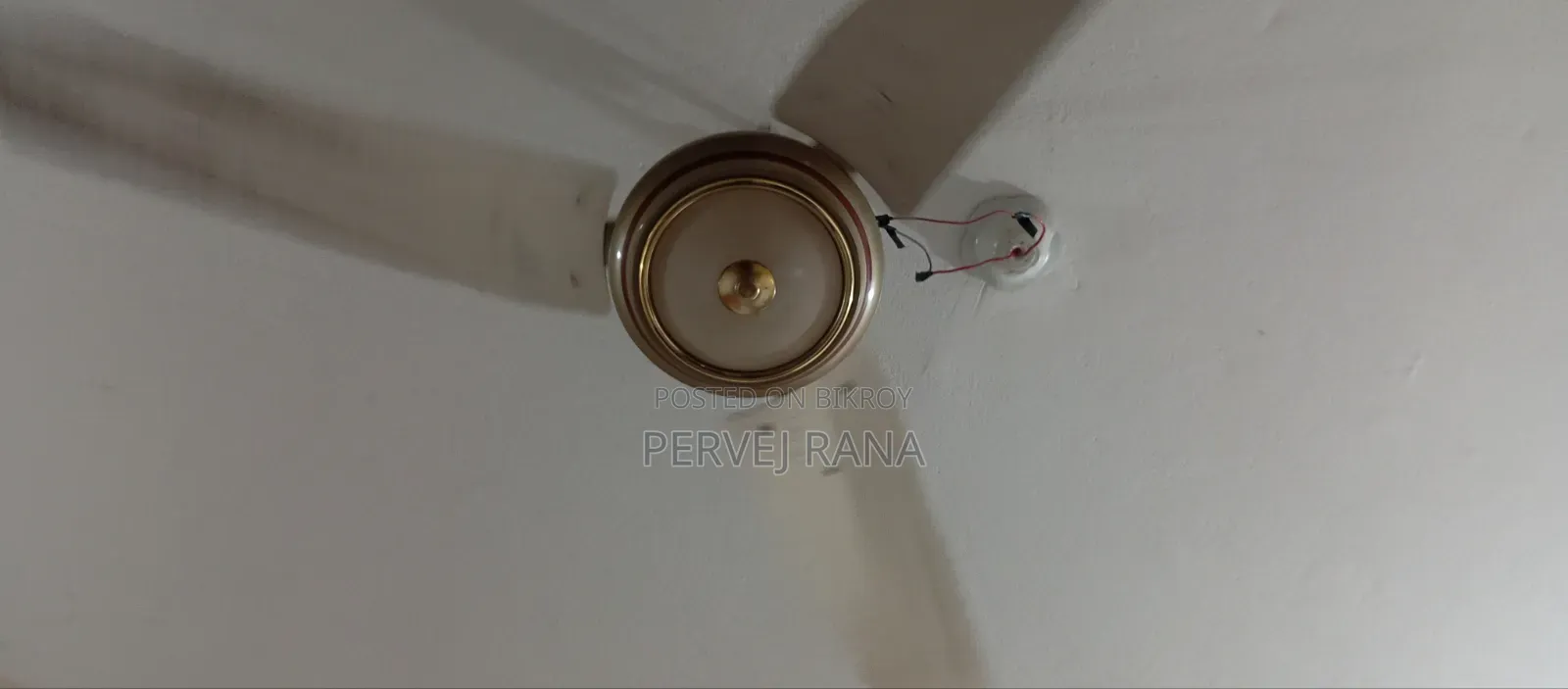 Sleeping Fan