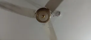 Sleeping Fan