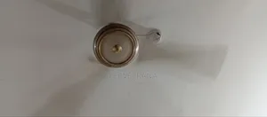 Sleeping Fan
