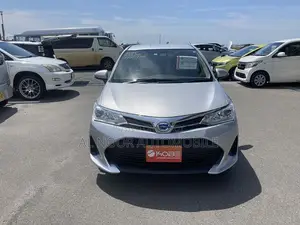 Toyota Corolla Fielder 2021 Silver