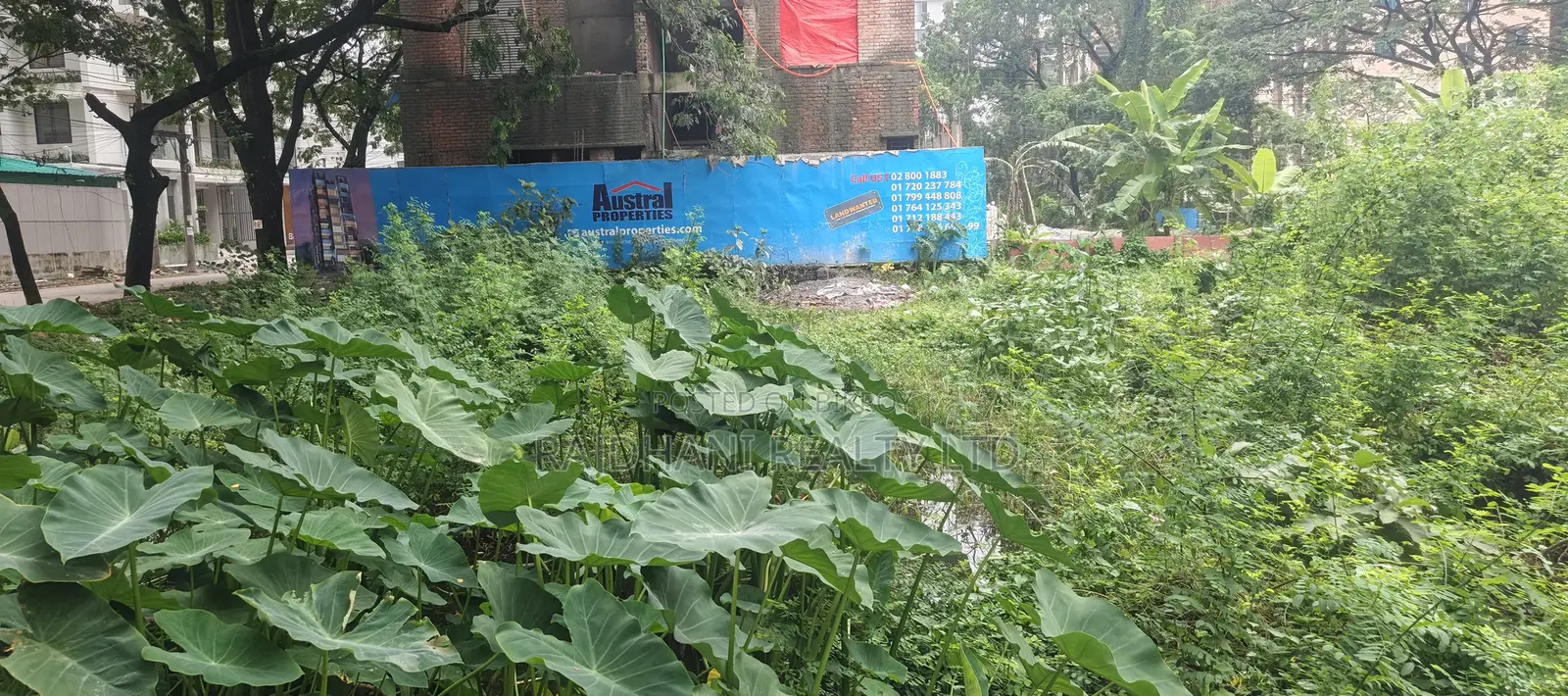 P Block 5 Katha Plot for Sale, Bashundhara R/A, Baridhara.
