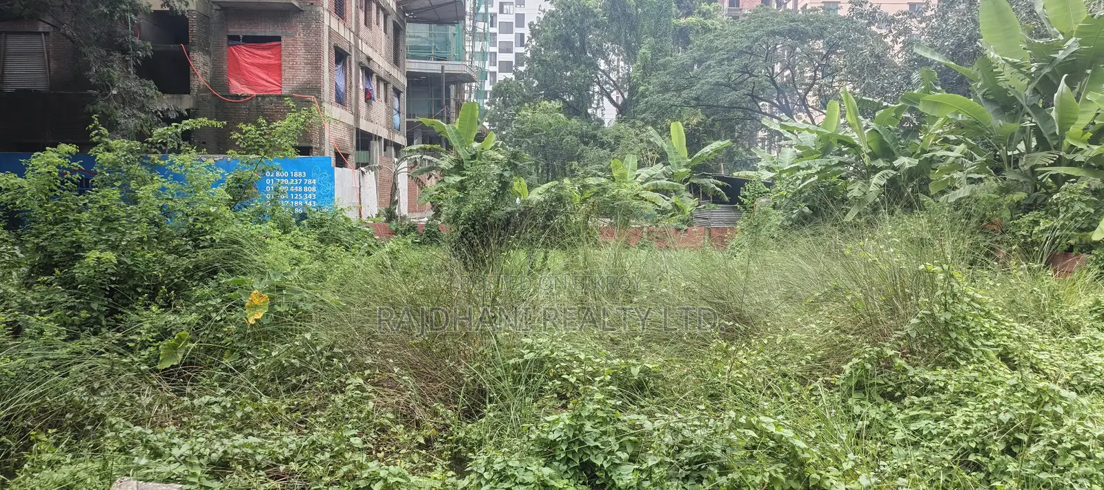 P Block 5 Katha Plot for Sale, Bashundhara R/A, Baridhara.