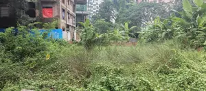 P Block 5 Katha Plot for Sale, Bashundhara R/A, Baridhara.