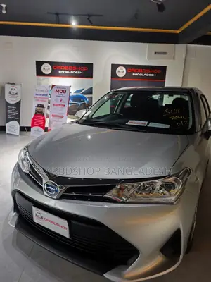Toyota Axio 2021 Silver