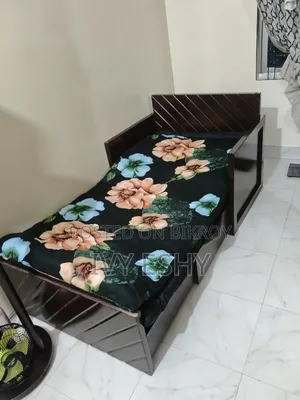 Sofa Cum Bed (Single)