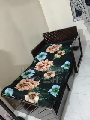 Sofa Cum Bed (Single)