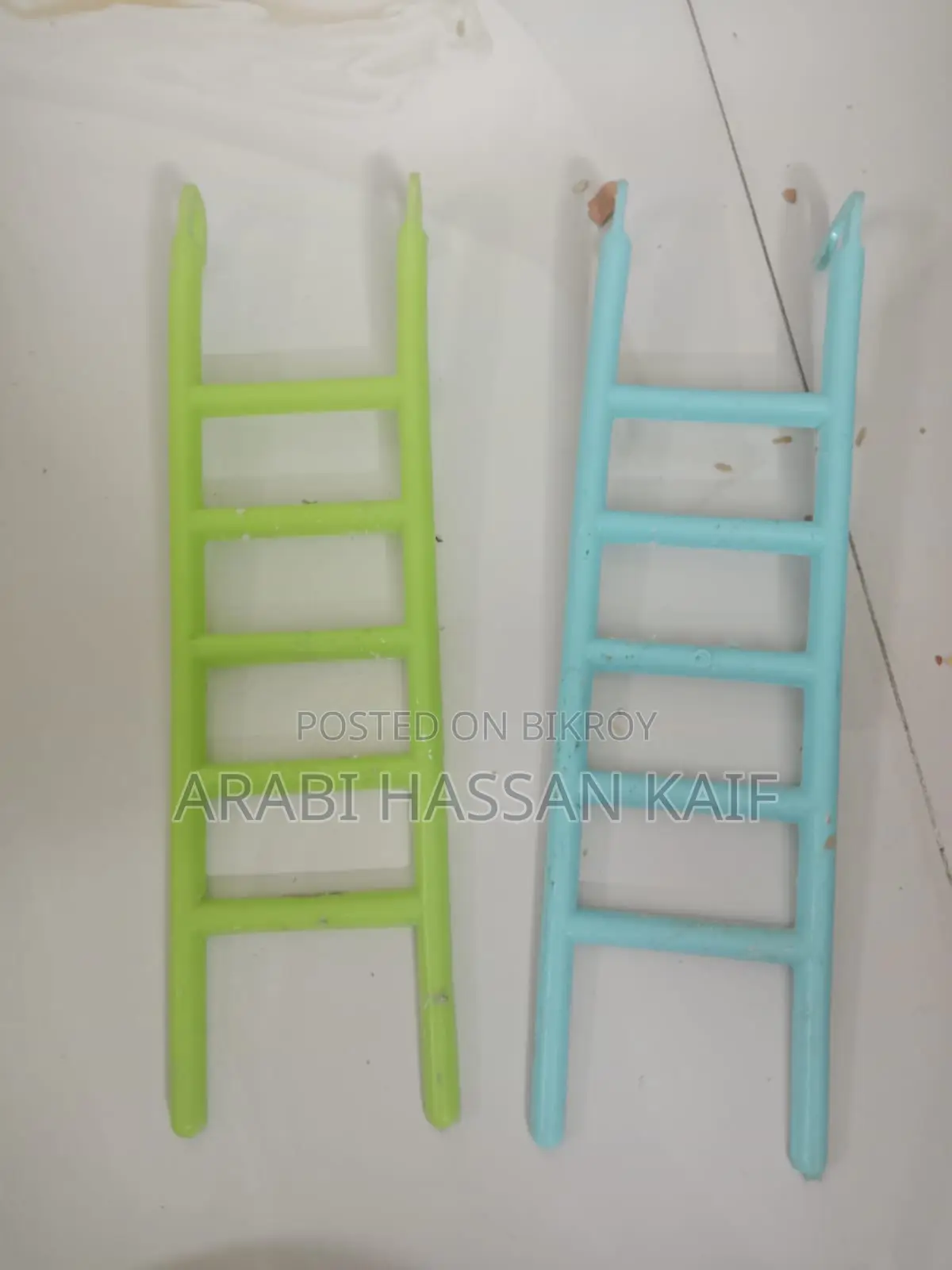 ককটেল পাখি