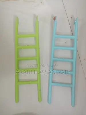 ককটেল পাখি