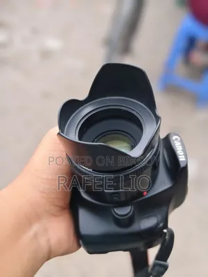 1200D সাথে 50mm Prime Lens ( স্মুথ ব্লার)