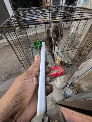 Sony Xperia 10 IV 128 GB White