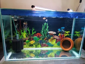 অ্যাকোয়ারিয়াম বিক্রয়ের জন্য