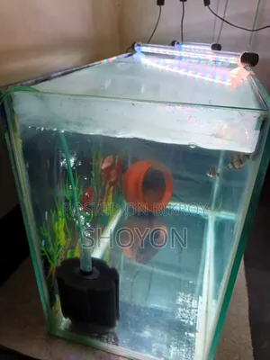 অ্যাকোয়ারিয়াম বিক্রয়ের জন্য
