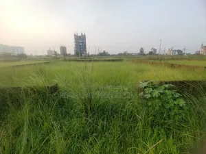 N-Block,Near 300 Feet 3 Katha Plot Sale in Bashundhara RA