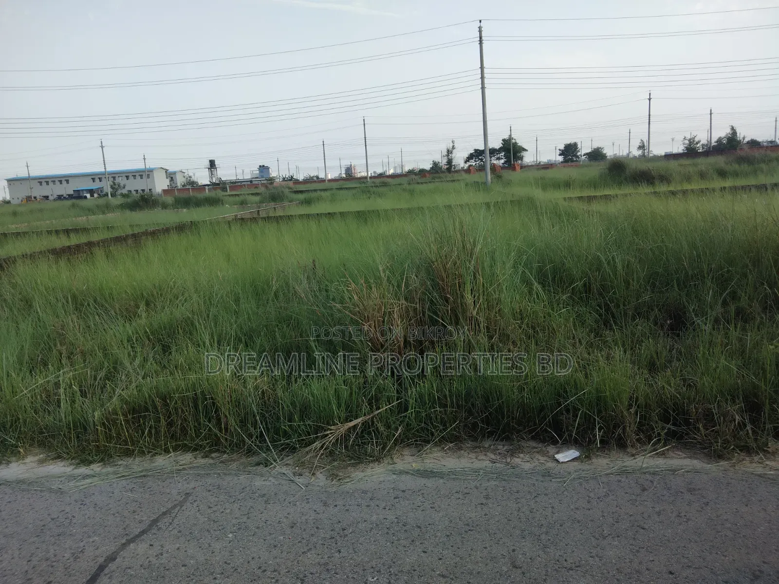 N-Block,Near 300 Feet 3 Katha Plot Sale in Bashundhara RA