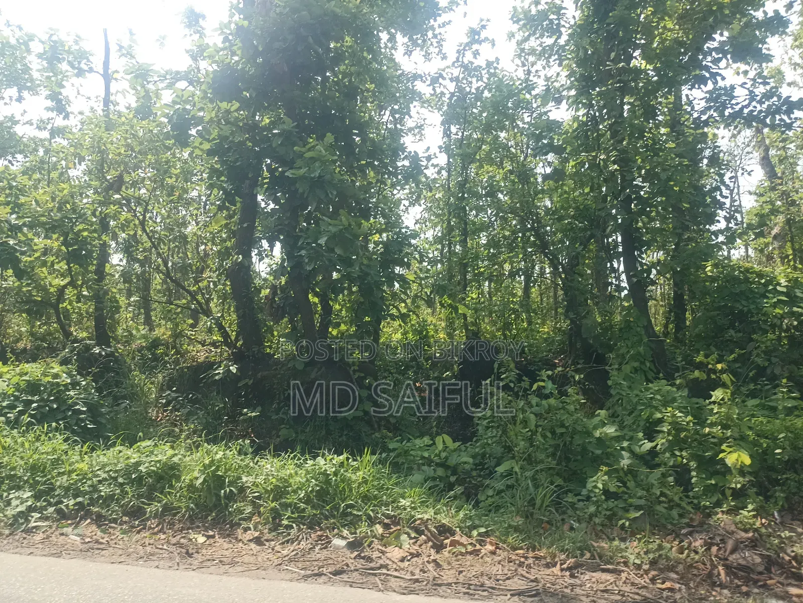 ডেস্কটপ কম্পিউটার আসুস ৪জিবি ইন্টেল কোর আই৫ এসএসডি ১টিবি